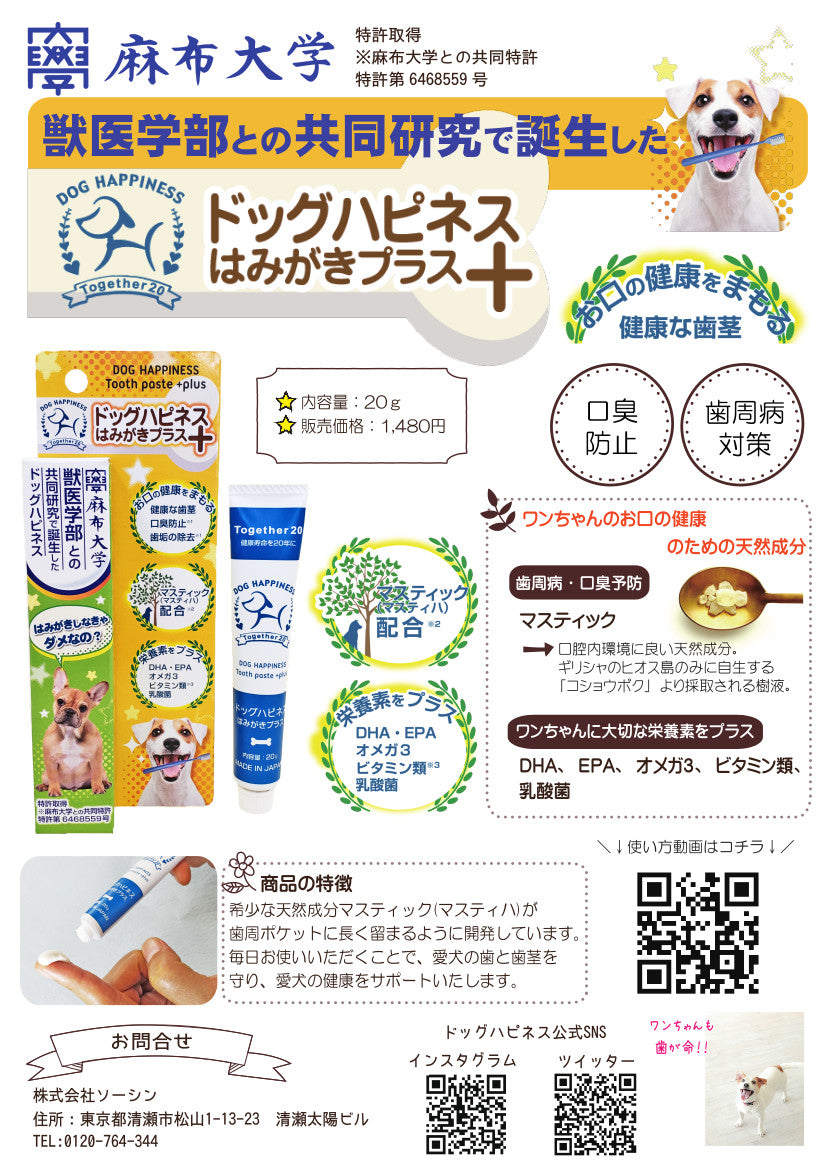 ドッグハピネスはみがきプラス