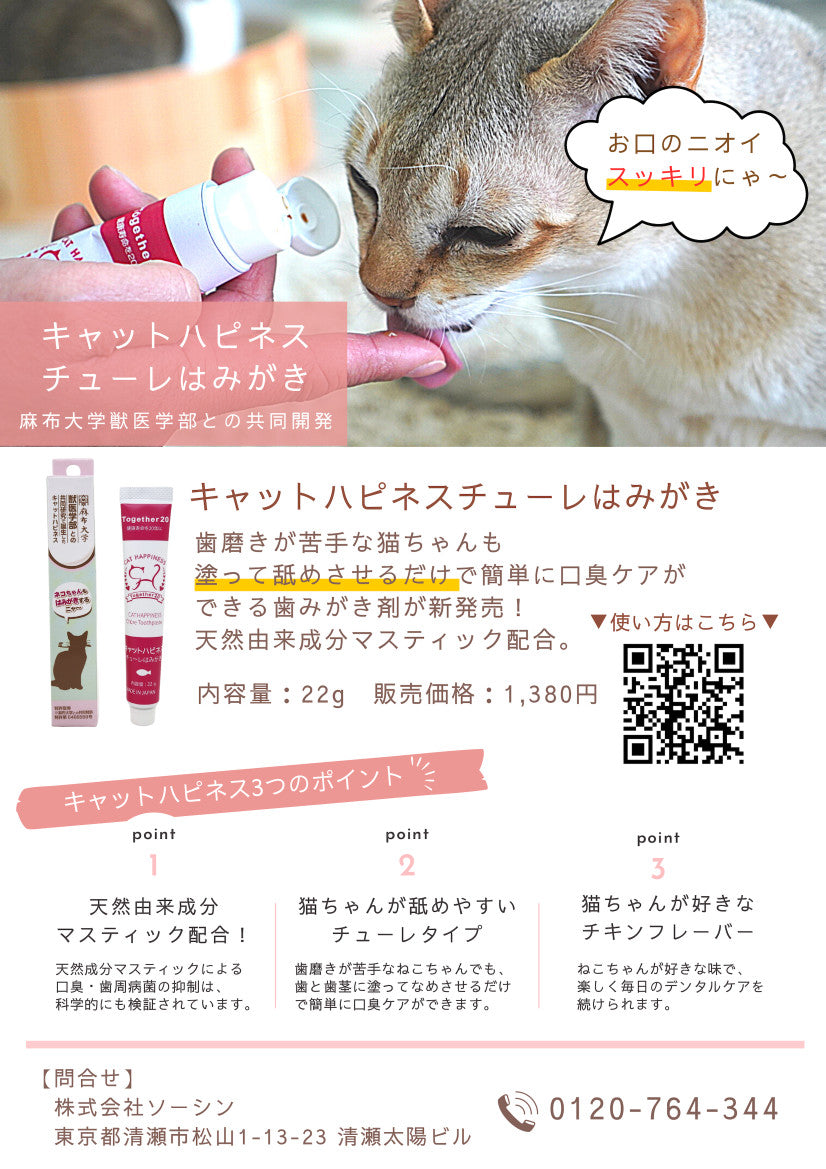 キャットハピネスチューレはみがき